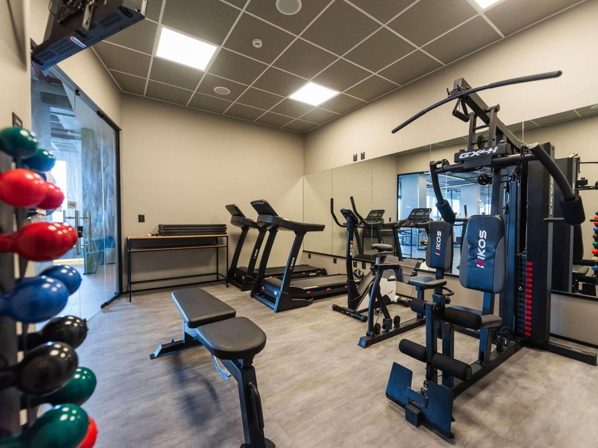 Ibis 3*